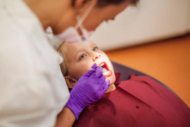 Best Emergency Dental Services for Seniors in Woods Hole, MA
